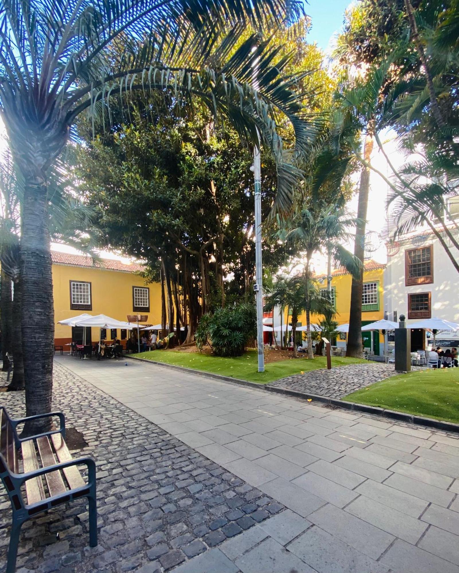 Macaronesia Home Santa Cruz de Tenerife Eksteriør bilde